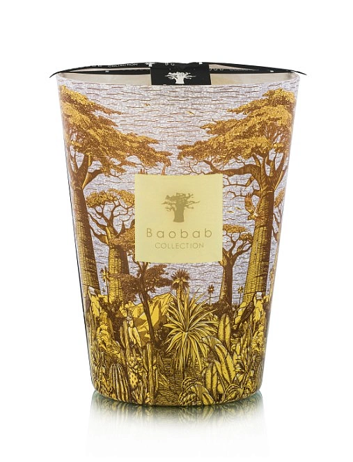 Sacred Trees свеча Max 24 Cocody 3000г