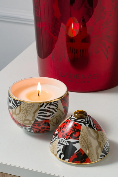 Africa свеча Snake Temptation 220г