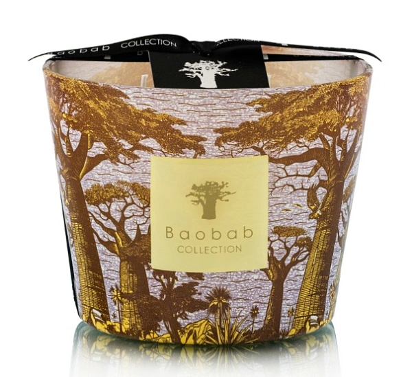Sacred Trees свеча Max 10 Cocody 500г