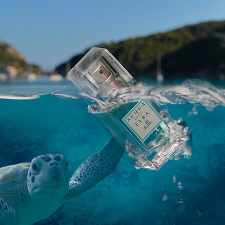 Acqua dell’Elba